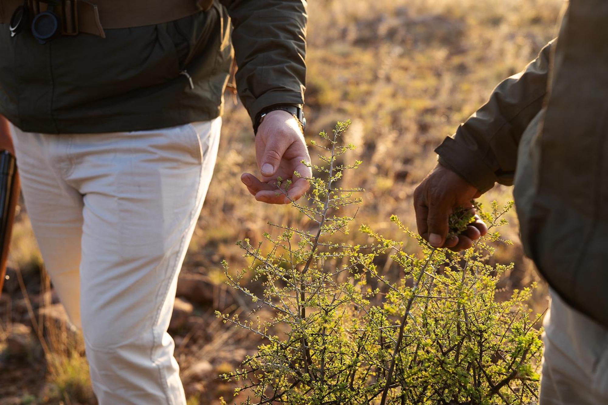 Samara Karoo Reserve Villa Graaff Reinet Bagian luar foto