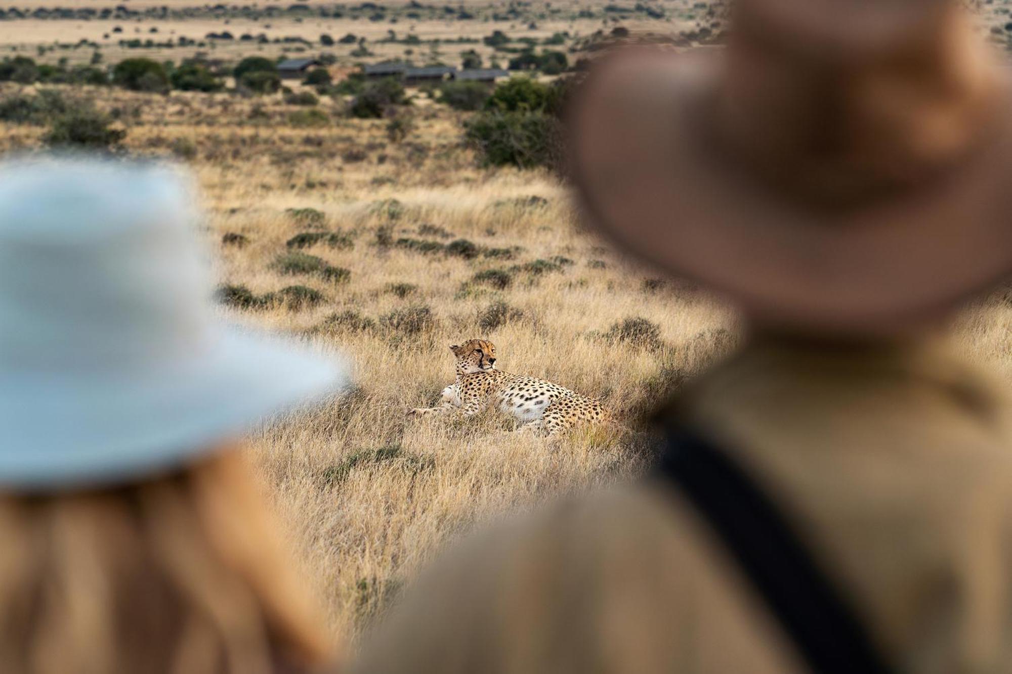 Samara Karoo Reserve Villa Graaff Reinet Bagian luar foto