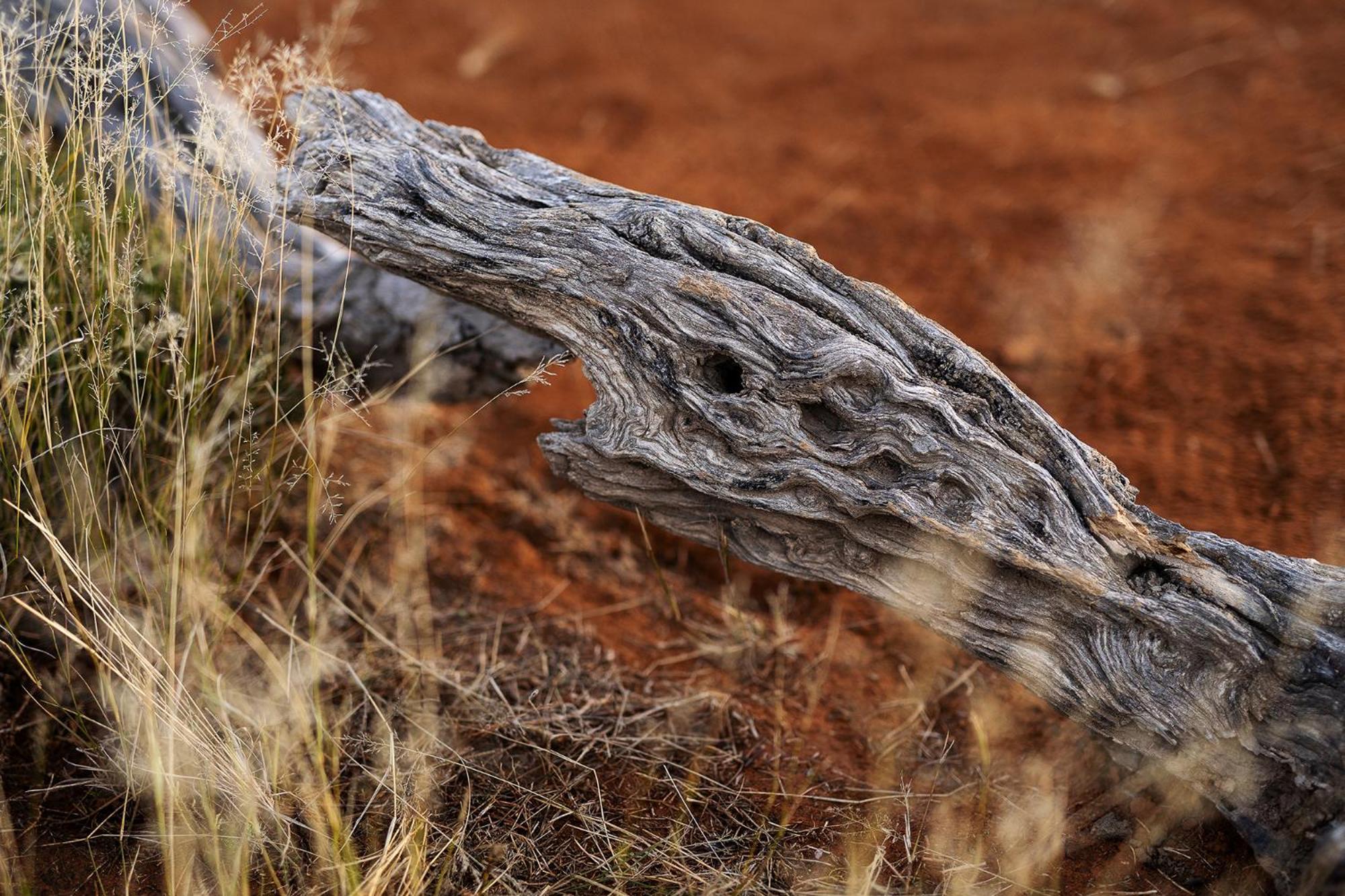 Samara Karoo Reserve Villa Graaff Reinet Bagian luar foto